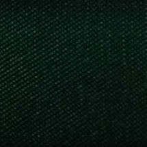  ΚΥΠΑΡΙΣΣΙ ΑΝΟΙΧΤΟ 79