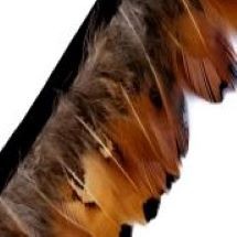 3 ΦΥΣΙΚΟ ΚΑΦΕ