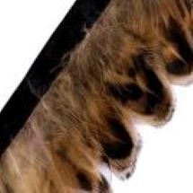 1 ΦΥΣΙΚΟ ΚΑΦΕ