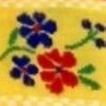 21/1 ΚΙΤΡΙΝΗ ΒΑΣΗ-ΚΟΚΚΙΝΟ-ΡΟΥΑ